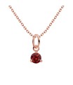 January Birthstone Silver Necklace SPE-5688